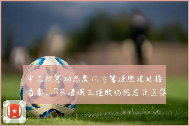 中乙联赛动态厦门飞鹭连胜追赶榜首泰山B队遭遇三连败仍稳居北区第三